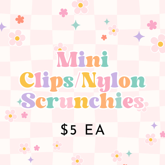 Mini Clips/Nylon Scrunchies
